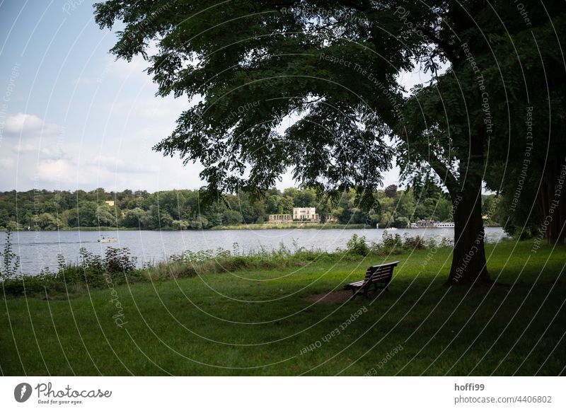 Baum und Bank am See im Park Parkbank Rasen Seeufer sitzen Sitzbank Natur Bäume Einsamkeit stumm Zweige u. Äste Sitzgelegenheit Erholung grün Tag Pflanze Holz