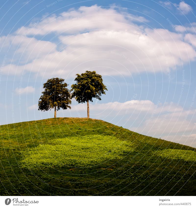 Der kleine Berg Natur Landschaft Himmel Wolken Sommer Schönes Wetter Pflanze Baum Gras Wiese Hügel leuchten stehen hoch natürlich oben blau braun grün weiß