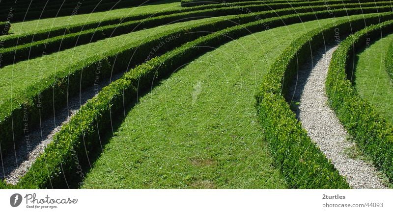 grüne welle Sträucher Park Hecke Irrgarten Garten