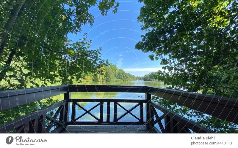 Ruhe am See geniessen - Seele baumeln lassen Seeufer Wasser Natur Farbfoto Menschenleer ruhig Erholung Idylle Einsamkeit blau natürlich Sommer Stimmung