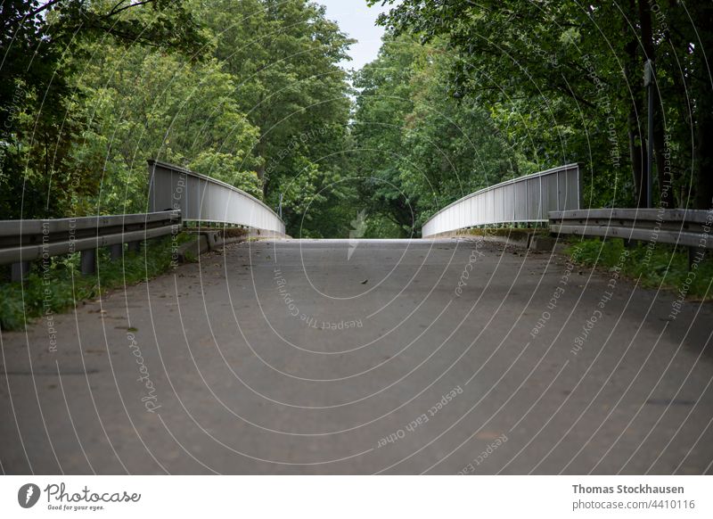 Blick auf eine Brücke knapp über dem Asphaltniveau. Der Weg ist zwischen Bäumen, Licht auf Geländer allein Textfreiraum Tag Depression Zaun Laubwerk grün grau