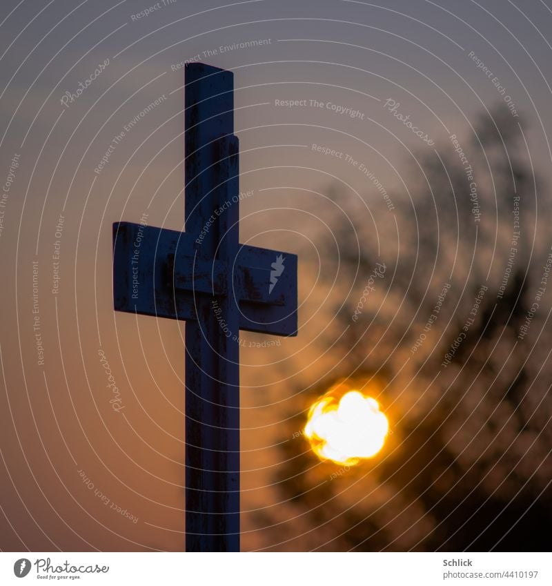 Ein neues Leben oder Sonnenaufgang unter einem Wegekreuz Strauch Gebüsch Kreuz Katholizismus morgen Dämmerung morgendämmerung Himmel Morgendämmerung