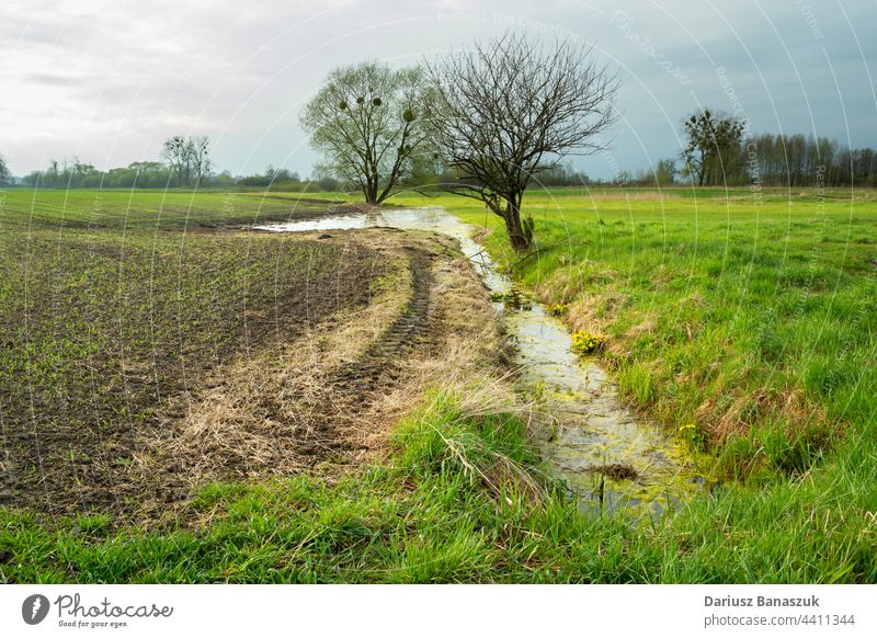 Ein Graben mit Wasser und Bäumen zwischen einem Feld und einer Wiese, Zarzecze, Polen Baum Natur Gras grün Himmel Landschaft Ackerbau im Freien ländlich