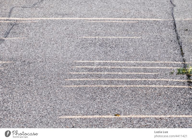 Bürgersteig mit Riss, Moss, Teer- und Sonnenstreifen Gehweg Asphalt grau rissig Moos Sonnenlicht Licht Schatten Linien Wege & Pfade Außenaufnahme Menschenleer