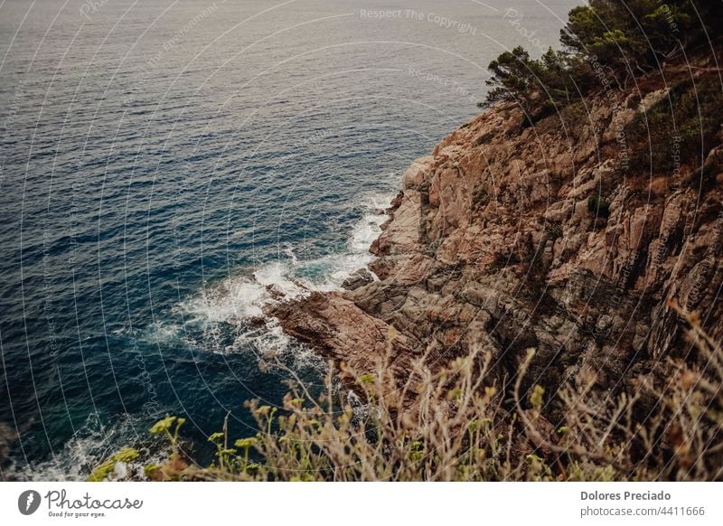 Blick auf eine Bucht an der Costa Brava von einem hohen Punkt aus Hintergrund Strand schön blau Kalifornien Schlucht Kreide Küste Küstenstreifen Küstenlinie