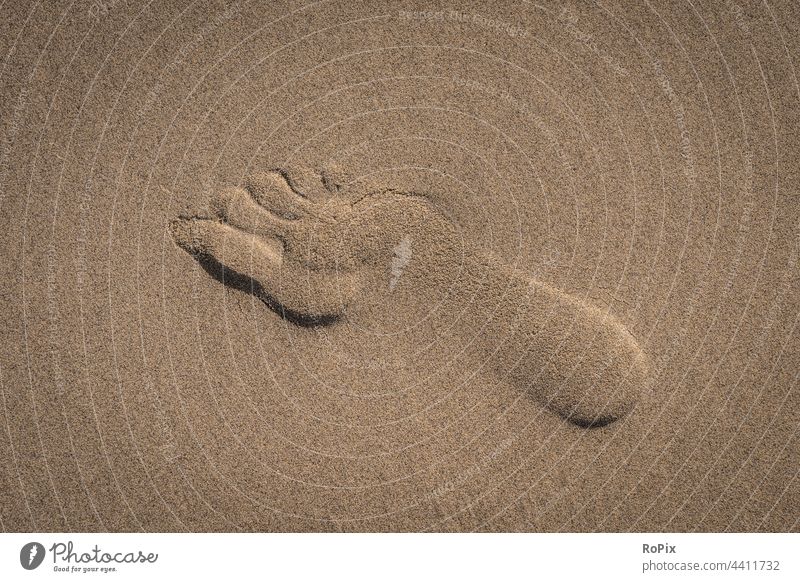 Fußabdruck am Strand. beach Küste Meer sea Ozean Sandstrand Spur foot Urlaub Küstenwanderung Erholung Ruhe Entspannung Strandurlaub Strandspaziergang Natur