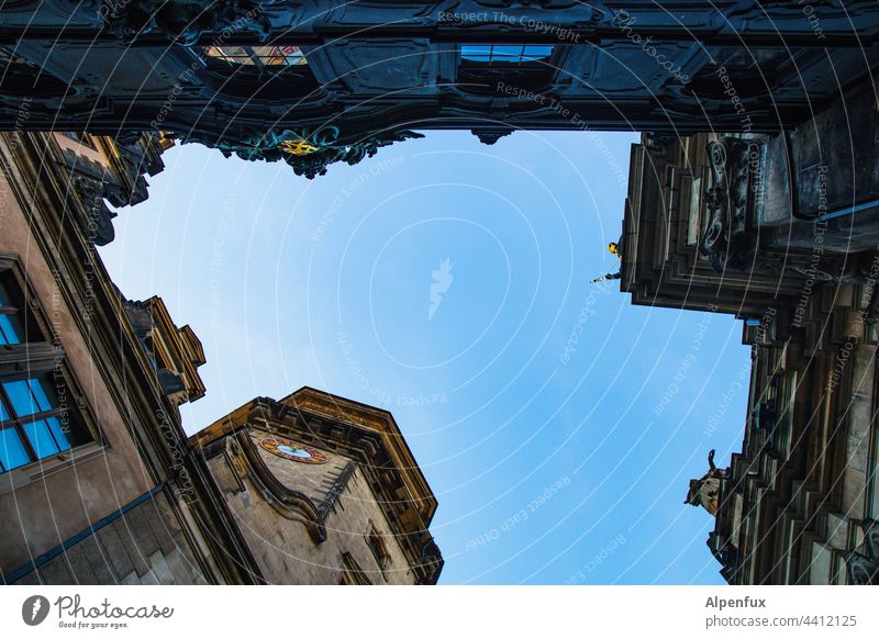 als Frosch in Dresden historisch Altstadt Architektur Außenaufnahme Tourismus Sehenswürdigkeit Farbfoto Stadt Sachsen Froschperspektive Menschenleer Deutschland