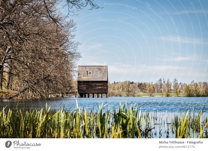 Pfahlhaus an den Plothener Teichen / Thüringen Schiefergebirge See Wasser Holzhaus Ufer Bäume Äste Zweige Himmel Wolken Sonne Sonnenschein Natur Landschaft