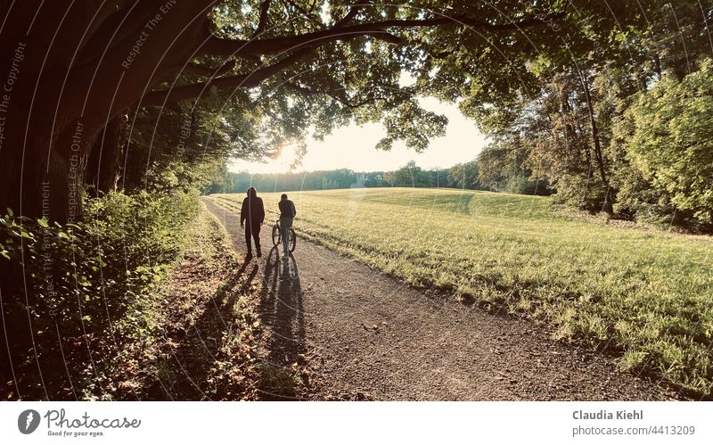 Schatten auf dem Weg Waldlichtung Waldrand Abendlicht abendlich abendliche Ruhe Sonnenlicht grün Natur natürlich Spaziergänger Fahrrad Schattenwurf Gegenlicht