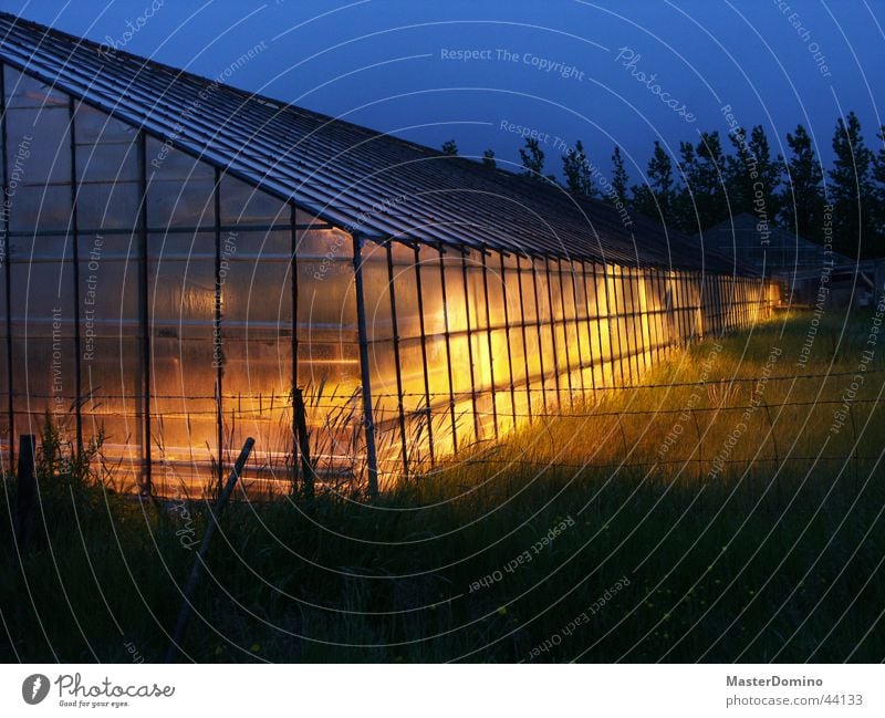 Gewächshaus bei Nacht Landwirtschaft Wachstum gelb Dämmerung diffus Architektur Lampe Ackerbau Pflanze blau diffuses Licht