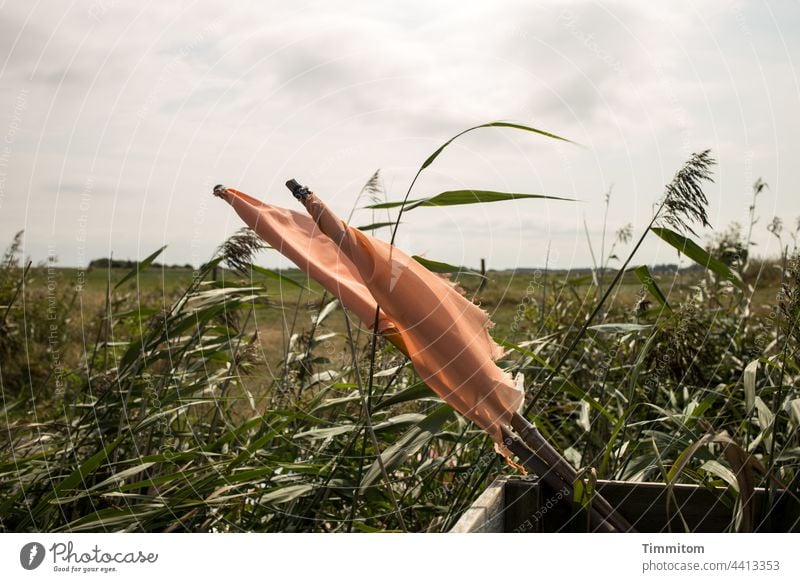 Fähnchen im Wind wehen Wimpel Hafen Fjord Gras Himmel Wolken Fahne Menschenleer alt Dänemark