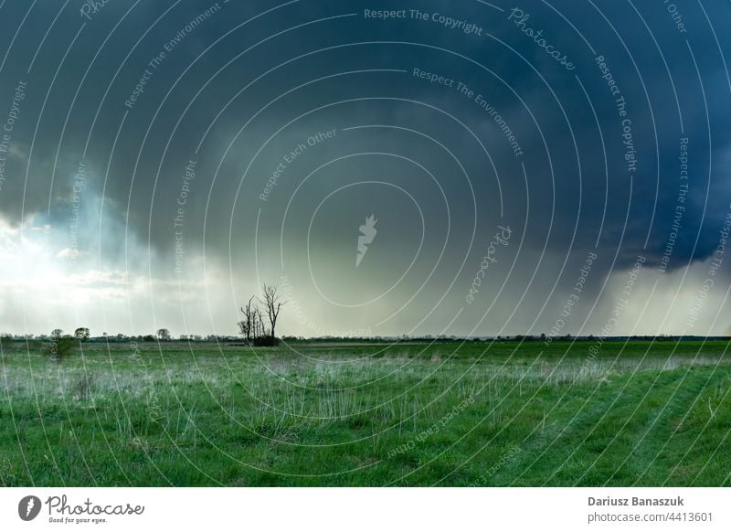 Der Wolkenbruch über der Wiese mit Bäumen, Czulczyce, Polen Cloud Unwetter Regen Frühling Natur Wetter grün Baum Landschaft Ansicht Feld Sommer Horizont Gras