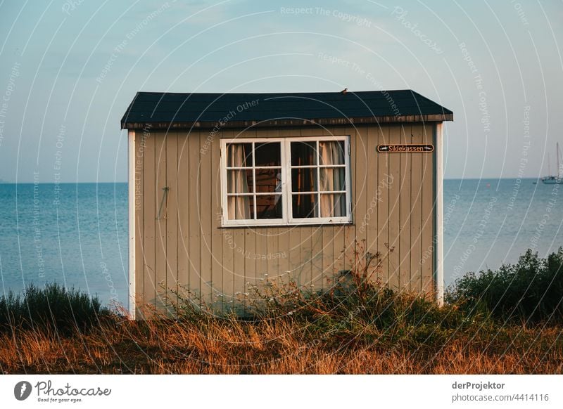 Strandhaus auf der hyggeligen Insel Ærø in Dänemark X relaxation erholen & entspannen" Freiheit Sommer Außenaufnahme Ostsee Tourismus Hintergrund neutral