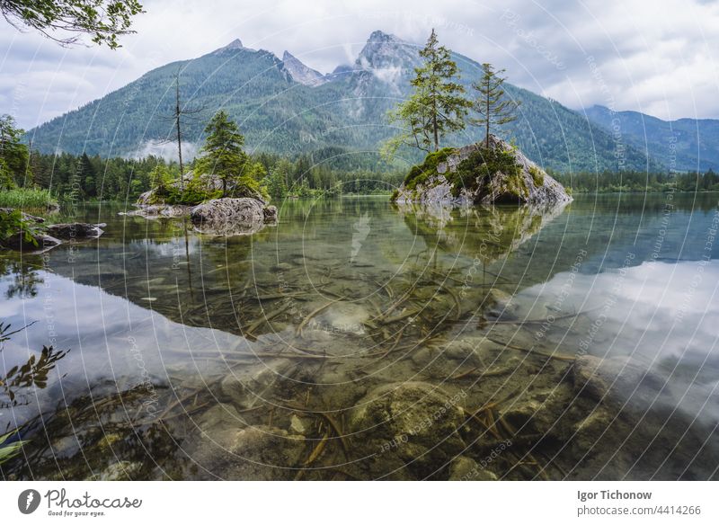 Hintersee mit Spiegelung der Watzmanngipfel. Ramsau Berchtesgaden Bayern, Deutschland, Europa See hintersee Natur Alpen Berge u. Gebirge Himmel