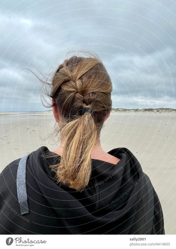 Strand-Wind-Frisur Haare Zopf geflochten Haare & Frisuren langhaarig Frau brünett feminin zerzaust Sandstrand Düne Hinterkopf wehen Haarsträhne Kopf Rückansicht