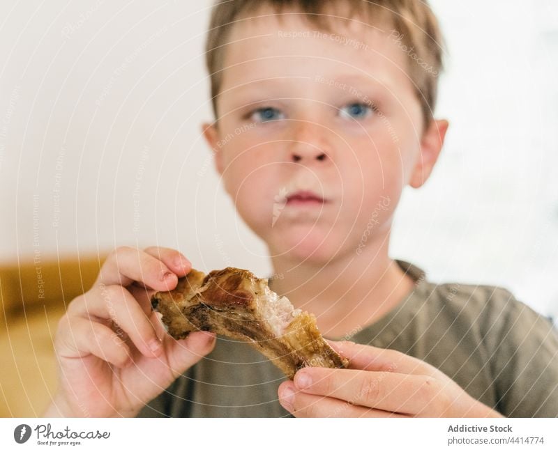 Hungriges Kind isst Schweinerippchen beim Mittagessen Schweinefleisch Rippe heimwärts Lebensmittel Junge appetitlich niedlich Mahlzeit bezaubernd genießen