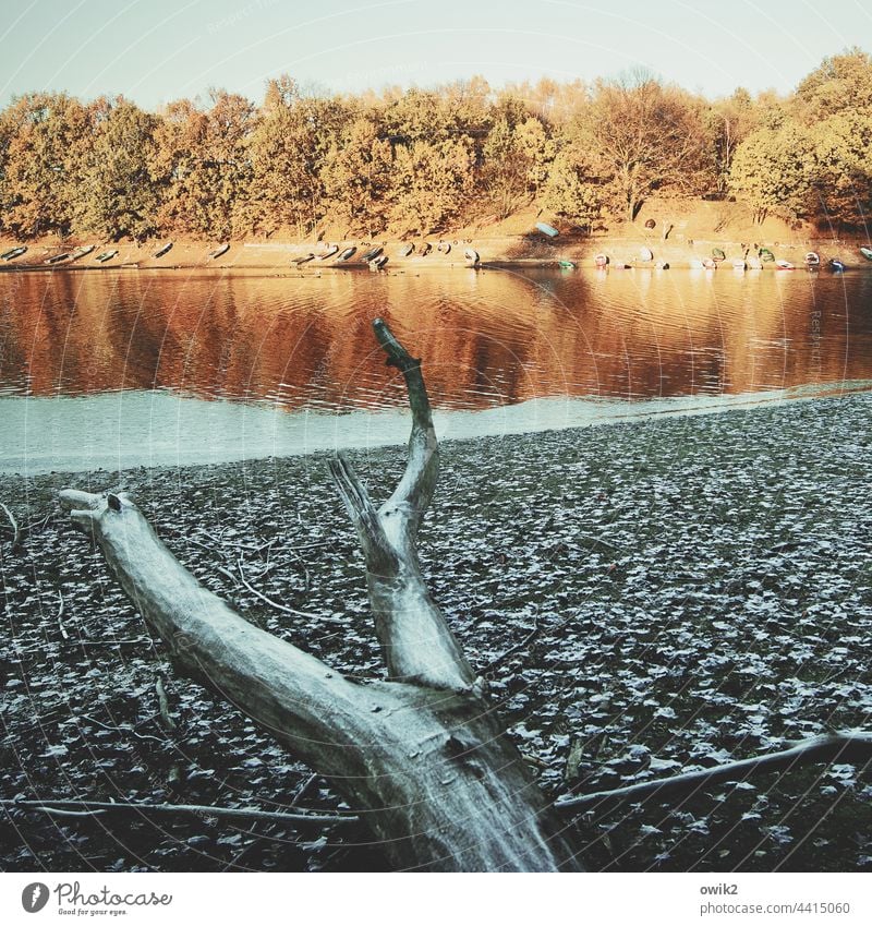 Ebbe Wasser Reflexion & Spiegelung Außenaufnahme Feierabend Pause verschlafen Reflektion friedlich still liegen Boote Idylle Menschenleer Fischerboot ruhig