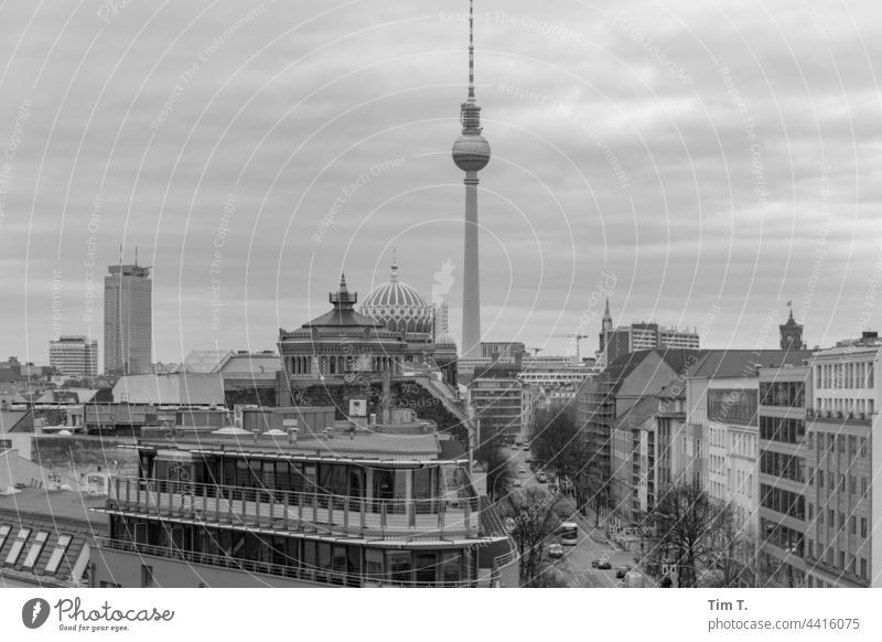 Blick über die Dächer der Oranienburger Straße in Berlin Mitte . Im Hintergrund der Berliner Fernsehturm. s/w Skyline Stadt Hauptstadt Architektur Außenaufnahme