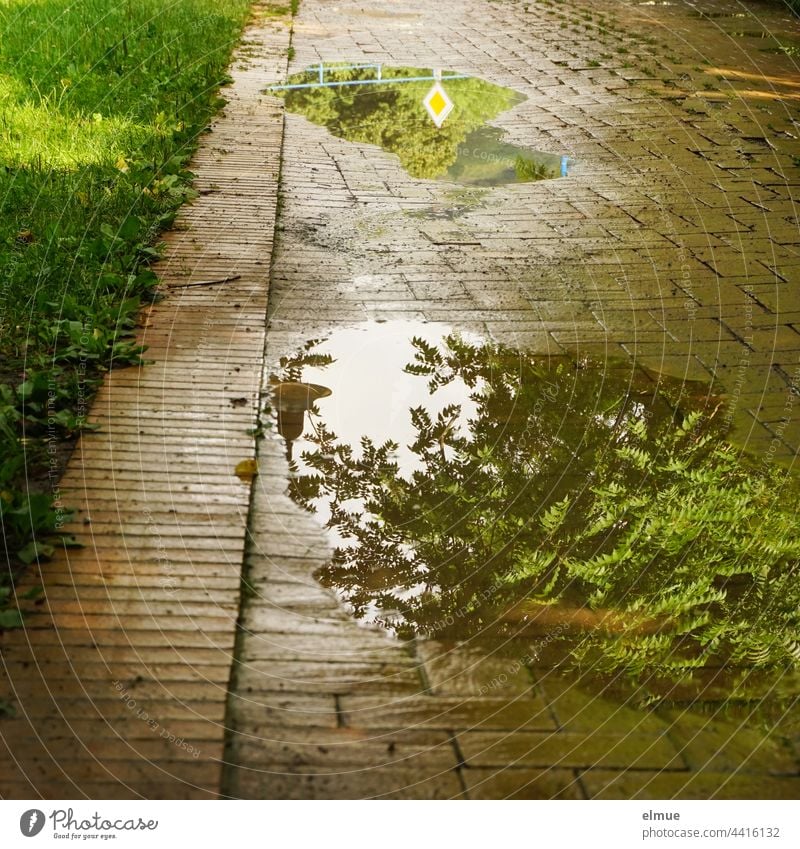 nach dem Regen - in den Pfützen auf dem gepflasterten Gehweg spiegeln sich bei Sonnenschein eine Esche, eine Lampe und ein Verkehrsschild Hauptstraße Pflaster