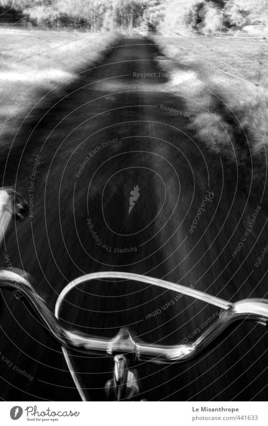 Drive as fast as you can Fahrradtour Frau Erwachsene 18-30 Jahre Jugendliche Umwelt Landschaft Sommer Wiese Feld Fahrradfahren Wege & Pfade Unendlichkeit
