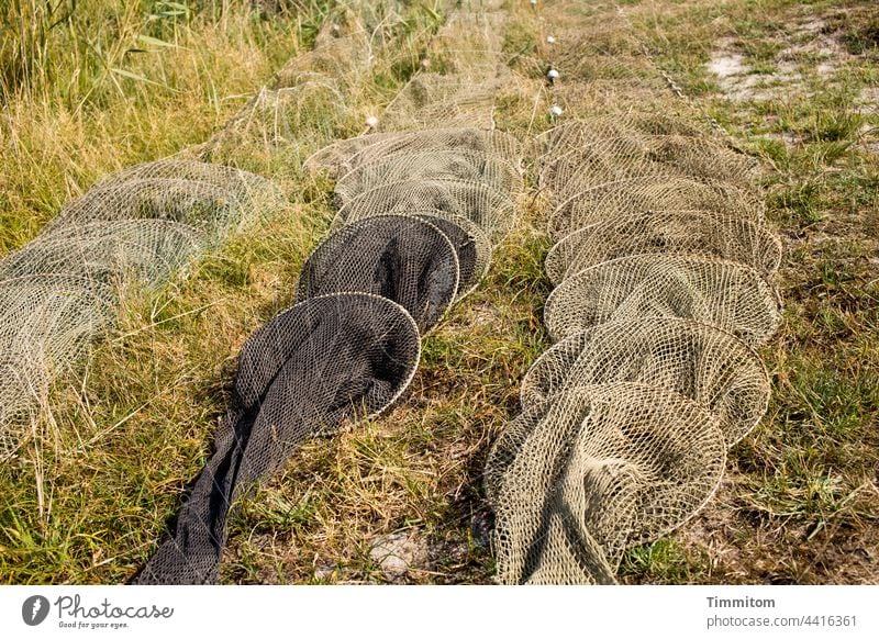 Reusen auf Landgang Fischereiwirtschaft Wiese Fjord trocknen Netz Fischfang Hilfs Außenaufnahme Farbfoto Menschenleer Dänemark