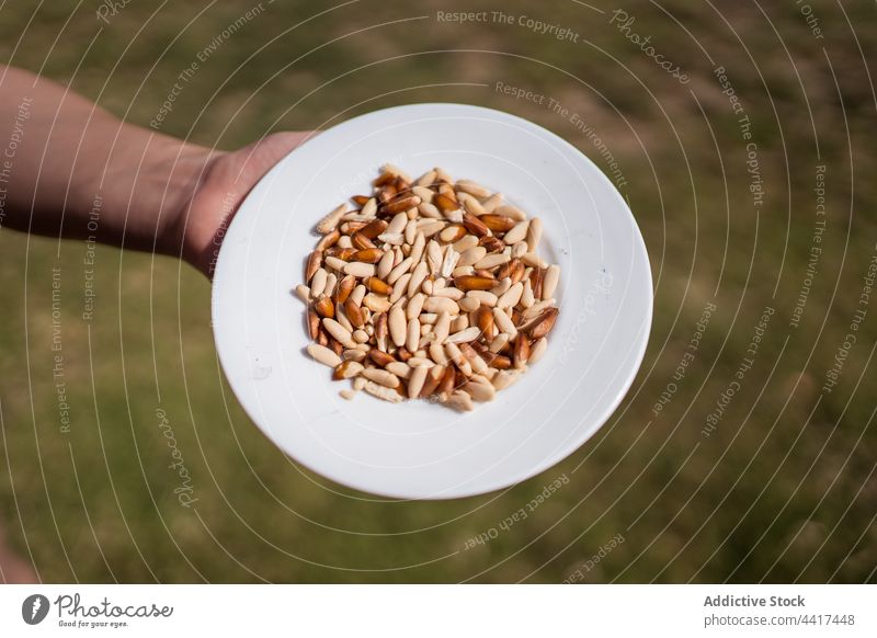 Landwirt mit Körnern auf einem Teller Müsli Korn Haufen natürlich Landschaft organisch Gesundheit frisch Ackerbau Samen rustikal ländlich Feld Weizen Ernte