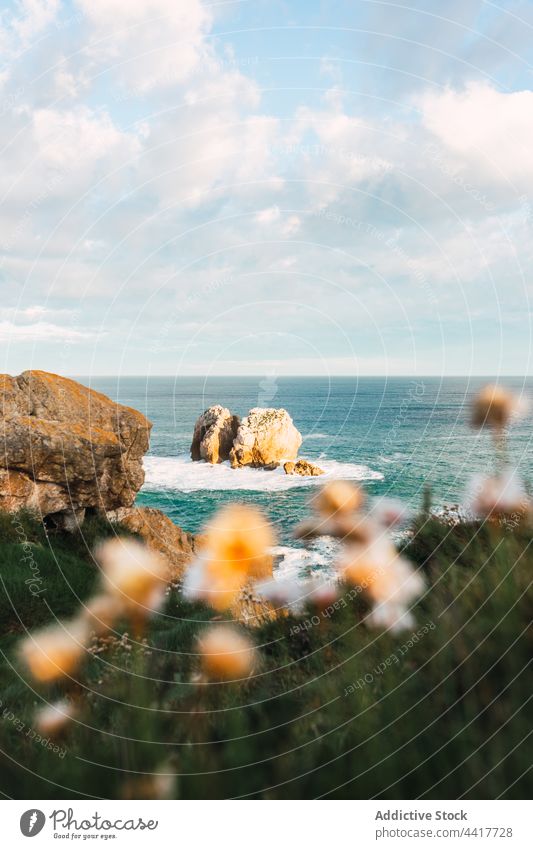 Landschaftlich reizvolle Küstenlinie mit Felsen und Blumen MEER Ufer Meeresufer Seeküste Formation Natur malerisch Spanien Kantabrien liencres felsig Sommer