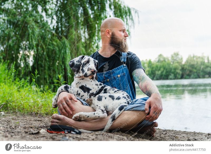 Ernster bärtiger Mann mit Hund am Seeufer Welpe Natur Freund gehorsam Besitzer Küste Landschaft Sommer Wasser Deutsche Dogge Eckzahn männlich Haustier Tier