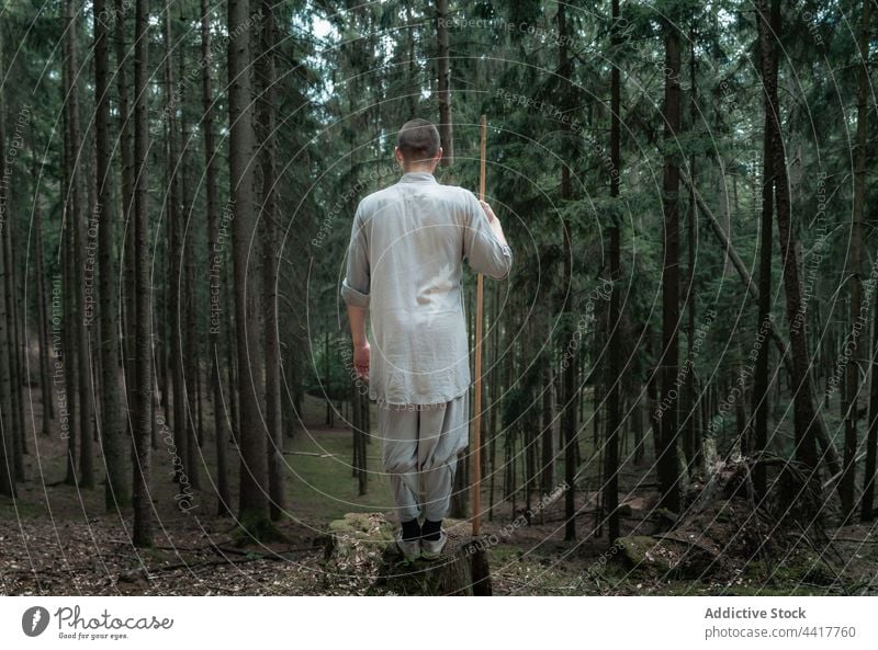 Anonymer Kung-Fu-Krieger, der auf einem Stein steht Mann Wald üben Baum Gleichgewicht kleben Natur männlich Felsen nadelhaltig Wälder Mönch Kämpfer stark