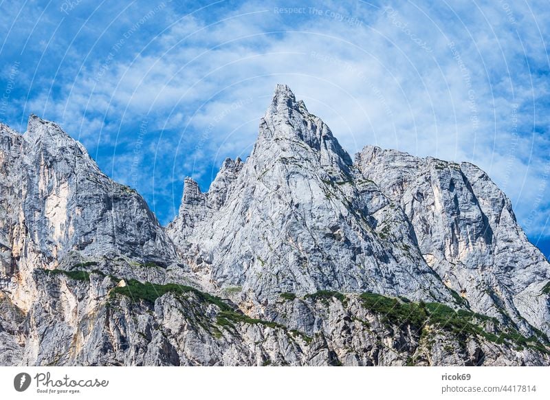 Blick auf die Mühlsturzhörner im Berchtesgadener Land in Bayern Ramsauer Dolomiten Klausbachtal Alpen Gebirge Berg Baum Wald Landschaft Natur Sommer Wolken