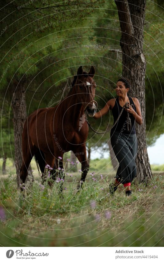 Glückliche Frau geht mit Pferd in der Natur spazieren Zusammensein Spaziergang Kraulen Landschaft Liebe pferdeähnlich Tier ethnisch Zaumzeug Reinrassig braun