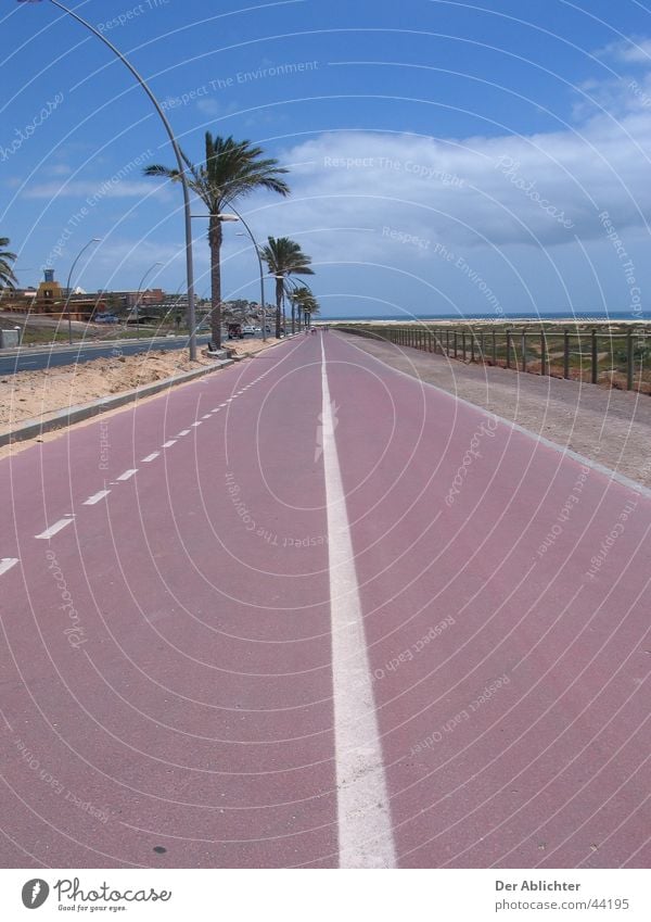 Sind wir bald da? Strand Promenade Uferpromenade Palme Asphalt grün Wolken Esquinzo Ferien & Urlaub & Reisen Fuerteventura Fahrradweg Europa Straße Sand Pflanze