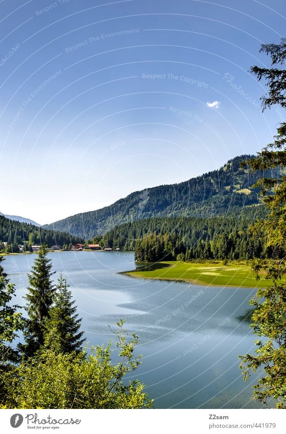 Spitzingsee Fahrradfahren Natur Landschaft Wolkenloser Himmel Sommer Schönes Wetter Sträucher Wald Alpen Berge u. Gebirge Seeufer ästhetisch Ferne natürlich