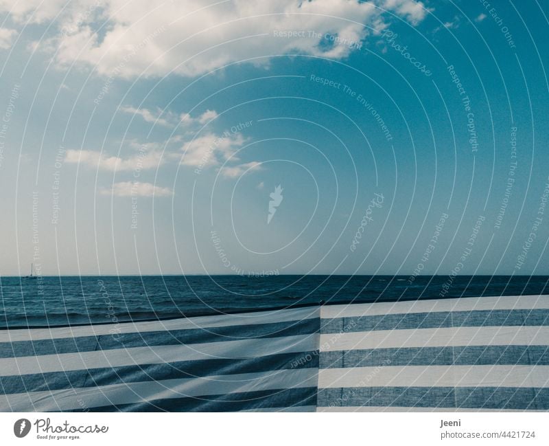 Blick über den Windschutz | Sommererinnerung an die Ostsee Strand Windfang Ferien & Urlaub & Reisen Küste Erholung Meer Sand Sommerurlaub Himmel Wasser Wellen