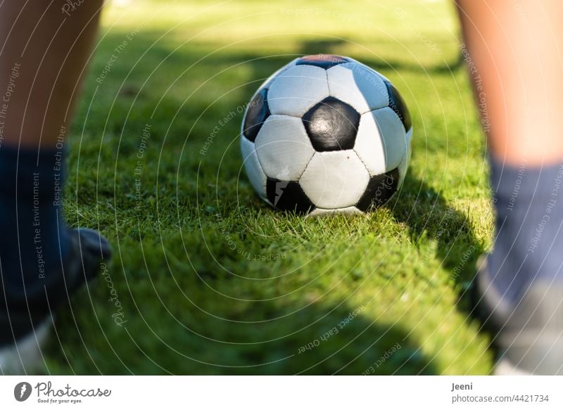 Torwart auf dem Fußballplatz Fußballfeld Beine Füße Schuhe Spielen Sport Ballsport grün Freizeit & Hobby sportlich Sportmannschaft Sportplatz Rasen Fußballer