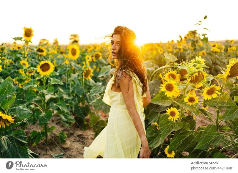 Frau in gelbem Kleid in einem Sonnenblumenfeld Stil Sommer Feld Blume Mode Anmut jung hispanisch Boho Bohemien Natur Blütezeit Landschaft romantisch feminin