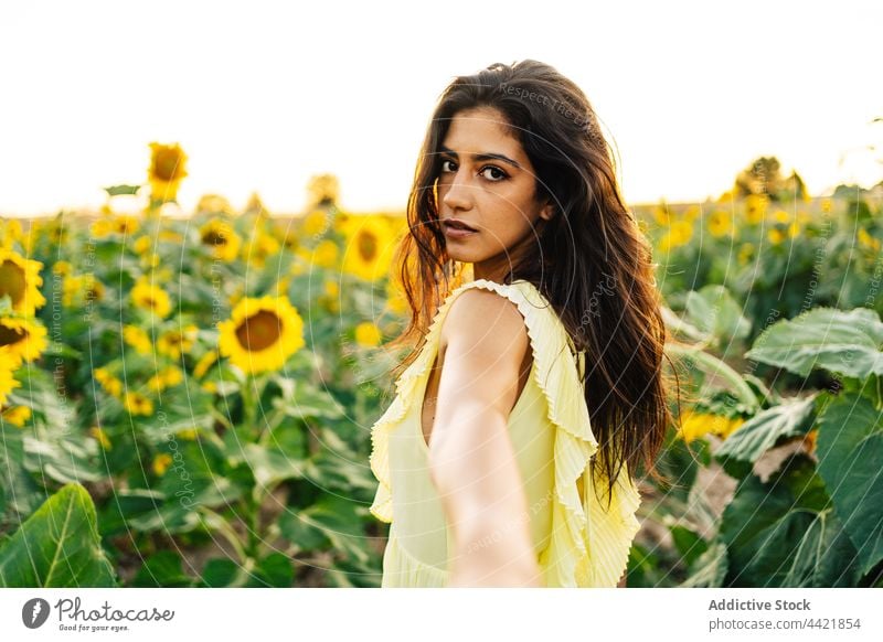 Junge Frau im Sonnenblumenfeld mir folgen gelb Sommer Feld Blume Kleid Natur einladen jung hispanisch ethnisch romantisch Landschaft Blütezeit frisch Harmonie