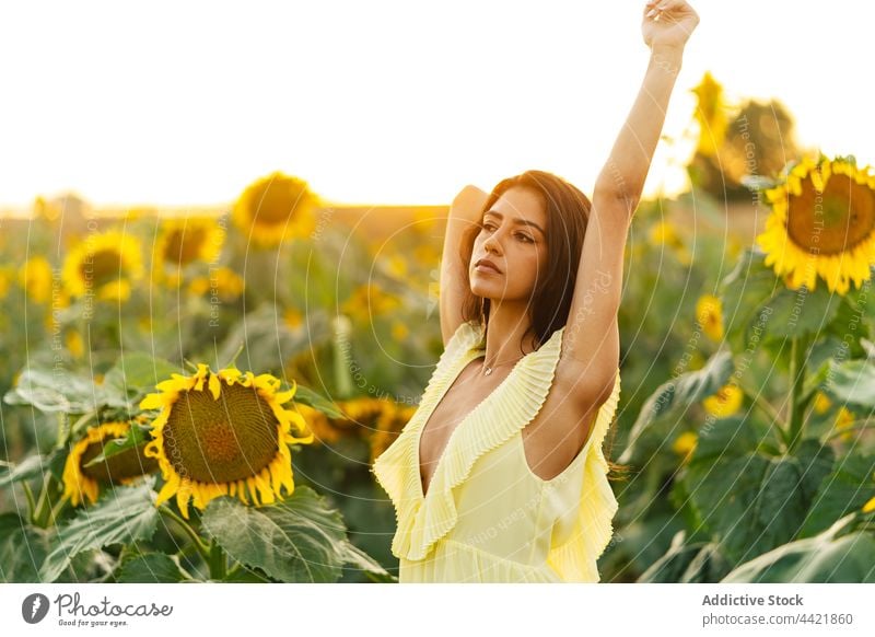 Frau in gelbem Kleid in einem Sonnenblumenfeld Stil Sommer Feld Blume Mode Anmut jung hispanisch Boho Bohemien Natur Blütezeit Landschaft romantisch feminin