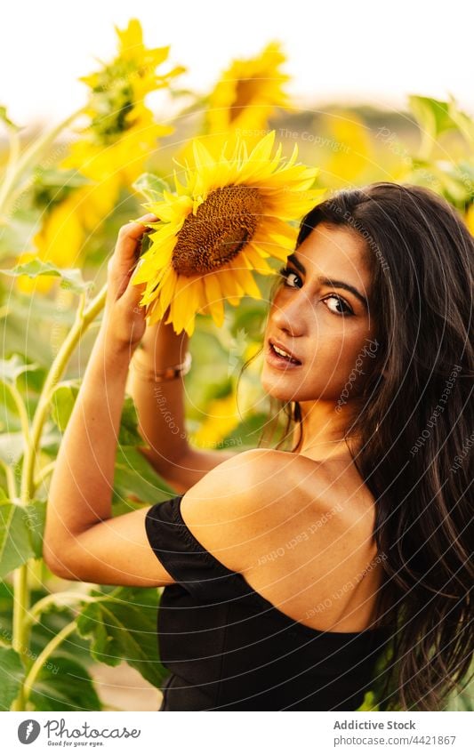 Junge Frau mit Sonnenblume in sommerlicher Natur Sommer gelb Blume Stil Landschaft Anmut Blütezeit nackte Schultern Feld jung hispanisch romantisch Umwelt