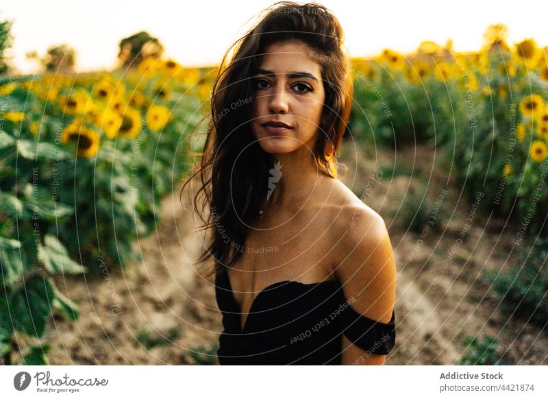 Junge Frau mit Sonnenblume in sommerlicher Natur Sommer gelb Blume Stil Landschaft Anmut Blütezeit nackte Schultern Feld jung hispanisch romantisch Umwelt