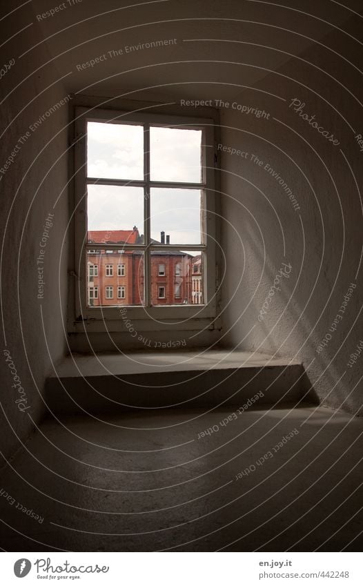 drinnen Stadt Altstadt Haus Gebäude Architektur Fenster Glas beobachten alt dunkel eckig grau rot Gefühle Stimmung Hoffnung Traurigkeit Sorge Trauer Sehnsucht