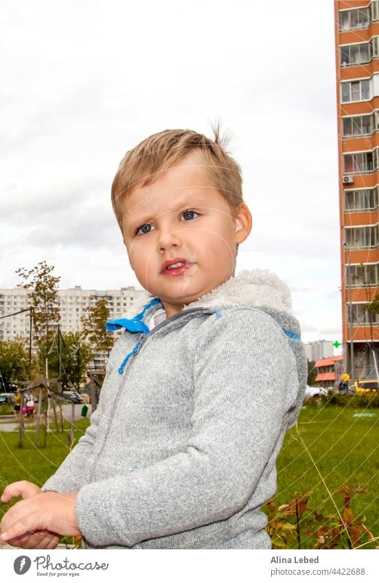 Der überraschte Blick des Jungen. Porträt eines Kindes bezaubernd erstaunt Erstaunen Baby schön Kaukasier heiter Kindheit Nahaufnahme cool niedlich dunkelhaarig