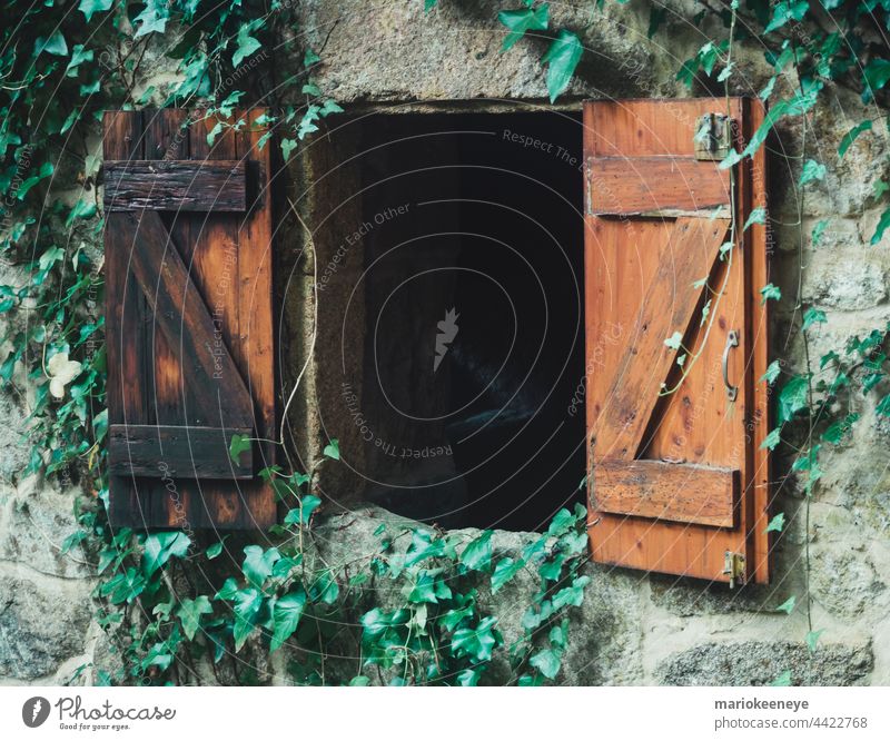 Holzfenster einer alten Mühle, umgeben von Blättern antik Antiquität Architektur braun Gebäude abschließen Farbbild farbenfroh Bauarbeiter Textfreiraum