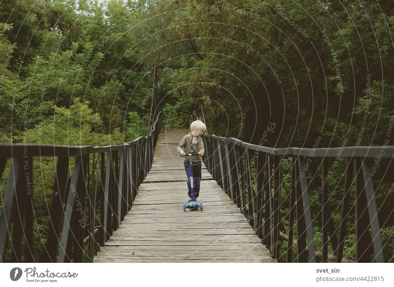 Ein kleiner blonder Junge fährt mit einem Tretroller auf einer Hängebrücke vor einem Hintergrund aus kaum vergilbtem, dichtem grünen Laub. Kind Natur Kickroller