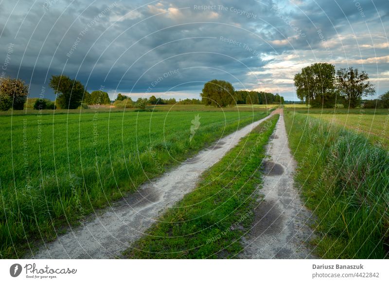 Schotterstraße durch die Felder und Wolken am Himmel Cloud Straße Landschaft ländlich Gras grün Natur Weg Schmutz Sommer Ackerbau Bauernhof Horizont