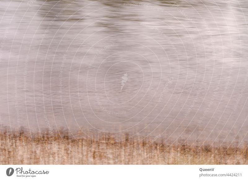 Flussufer doppelt gesehen Natur Wasser Landschaft Pflanze Zentralperspektive grün Wald Licht Reflexion & Spiegelung natürlich Bewegung fließen schnell Schwindel