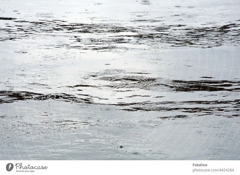 Regen fällt auf die Wasseroberfläche Regentropfen Regenwasser nass schlechtes Wetter Menschenleer Außenaufnahme Tag Schwarzweißfoto schwarz grau Tageslicht hell