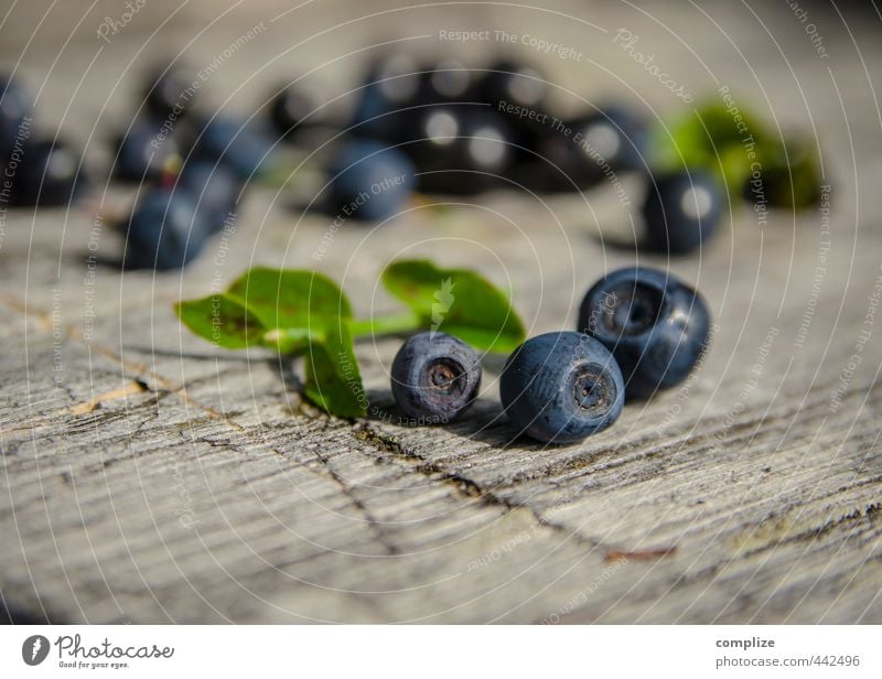 Blauer Bär Lebensmittel Frucht Ernährung Picknick Vegetarische Ernährung Gesundheitswesen Fitness Wohlgefühl Sommer Nutzpflanze entdecken wild blau Blaubeeren