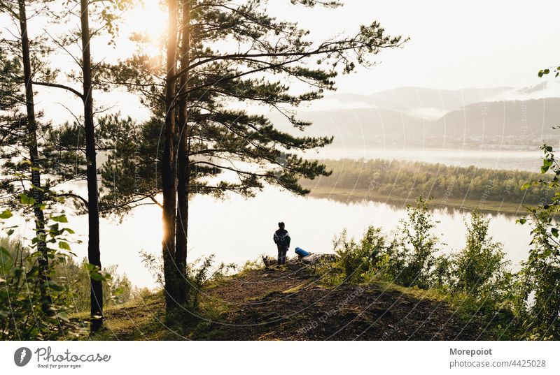 Reisen mit einem Hund Natur Ansicht Aussichtspunkt im Freien Landschaft Berge u. Gebirge Tourismus reisen Freiheit Abenteuer Reisender erkunden malerisch