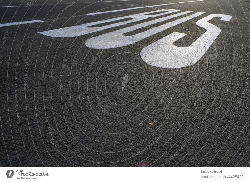 bus busspur Straße Schilder & Markierungen Linie Fahrbahnmarkierung Verkehrswege Asphalt Straßenverkehr grau Verkehrszeichen Wege & Pfade Orientierung Wegweiser